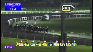 03.01.2013 Meydan (Dubai-UAE) 1.Race Galway Hurling Team Cup - Maiden 1.600 m