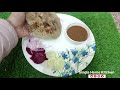 perfect bajare ki roti in the easiest way bajre ki roti kaise banaen