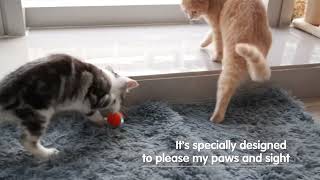 Cheerble Cat Ball - Next Generationn Smart Ball For Cats - Pawisndia