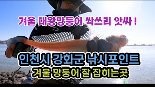 인천시 강화군 망둥어낚시 , 강화도낚시 사계절 망둥어포인트 , 물반 망둥어반 , 망둥어잘잡히는곳