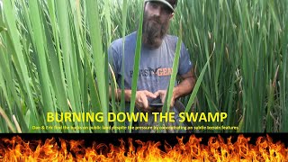 Burning down the swamp...  Finding big bucks despite pressure.