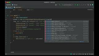 Get Started With Req - Amazing Golang HTTP Client Library