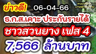 ข่าวดีมาแล้ว! ธ.ก.ส.เคาะประกันรายได้ ชาวสวนยาง เฟส  4 วงเงิน 7,566 ล้านบาท