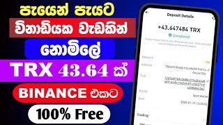 How to Earn Money Online Sinhala 2025 | Free TRX Earning Site | Online Job  #earnmoney @woowmoney