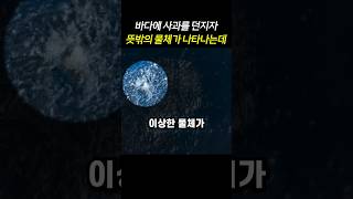 바다에 사과를 던지자 뜻밖의 물체가 나타나는데..