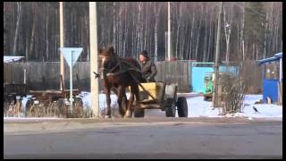 Благодатное паломничество на Сольбе