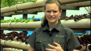 13-year old’s successful aquaponics \u0026 aquaponics business