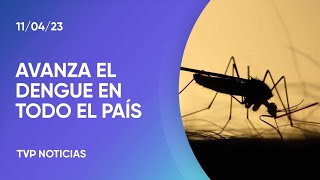 Crece la preocupación ante el avance del dengue en todo el país