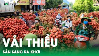 Chuyển động Nhà nông 24/5: Vải thiều Việt Nam sẵn sàng "ra khơi" | Báo Dân Việt