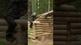 Built a Bushcraft Log Cabin in the wild forest from fallen trees - No power tools Part 3