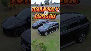 Electric Wars ⚡️: Tesla Model Y SR vs SsangYong Torres EVX