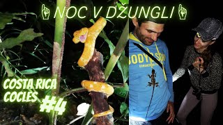 NIGHT JUNGLE 🐍🐒😱 EXCITING NIGHT JUNGLE MARCH 👣 COSTA RICA 2021 🌎 COCLES#4 Travel vlog \u0026 itinerary👈