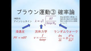 【統計力学】ブラウン運動③ 確率論（ランダムウォーク）