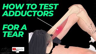 Torn Adductor Muscles - This is how you test them!