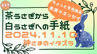 茶うさぎから白うさぎへの手紙 2024「315. 神さまのイタズラ」