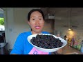 picking wild blackberries filipina in europe