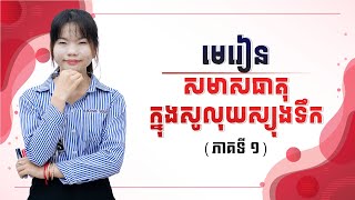 គីមីវិទ្យាថ្នាក់ទី១២ : សមាសធាតុក្នុងសូលុយស្យុងទឹក បង្រៀនដោយអ្នកគ្រូ : ណាត សុធាវី