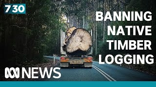 Tasmania increases native logging harvest area as other states wind it back | 7.30