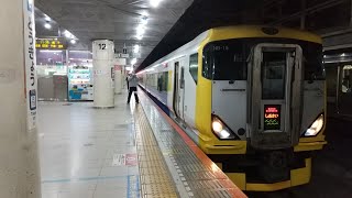 【E257系でのしおさい銚子行きは珍しい】E257系500番台NB-15編成特急しおさい81号銚子行き東京駅発車