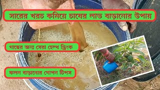 তৈরি করুন শক্তিশালী তরল জৈব সার (সরিষার খোল বা খৈল জল//  Liquid Mustard Cake Fertilizer.🌱💦