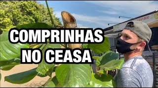 VEM CONHECER o CEASA de SOROCABA | Henrique Buttler