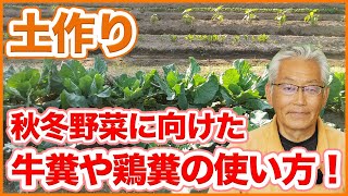 家庭菜園や農園の秋冬野菜栽培を成功させる土作り！肥料の種類や特性、使い方を徹底解説！【農園ライフ】