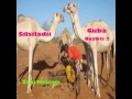 Silsiladii Guba Qaybtii Labaad By Raage Hassan