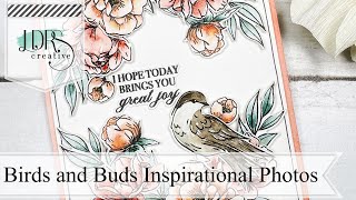 HSN Birds and Buds Stamps and Dies Project Photos