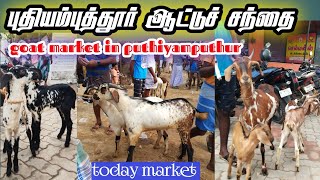 கொடி ஆடு சந்தை புதியம்புத்தூர் | kodi goat market | Tamilnadu | tuticorin | Tamilar nilam.