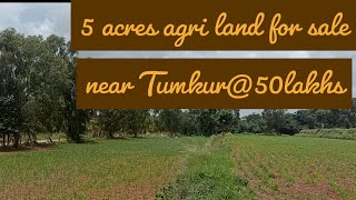 5 acres agri land for sale near Tumkur@50 lakhs. Watch full video for details.