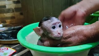 Popo rebelled when he was about to be bathed, before he knew to take a bath with warm water