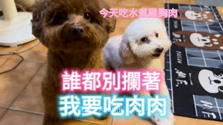 給狗狗吃的健康又衛生｜￼水煮雞胸肉教法￼｜毛小孩聞到都受不了了。￼