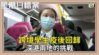 疫後跨境學子 重返香港校園的故事｜新聞 | 時事 | 資訊節目 | 星期日檔案｜Sunday Report