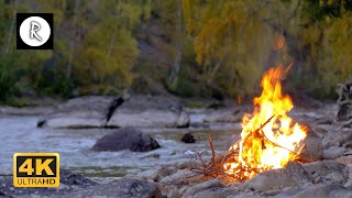🔥 Crackling Fire by the River w/ Owls - Relaxing Sounds for Insomnia, Sleep