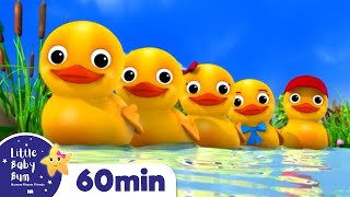 Counting Duck Song +More Nursery Rhymes and Kids Songs | Little Baby Bum