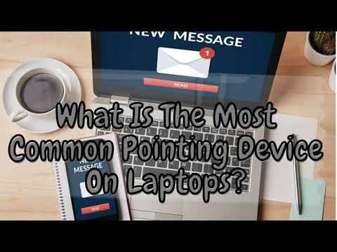 What is the most common pointing device on laptops?