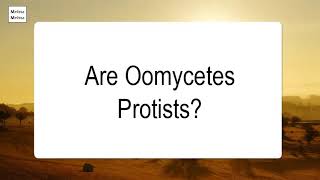 Are Oomycetes Protists