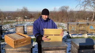 Математика у бджільництві. Beekeeping (18.01.2025 р.)