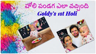 హోలీ పండుగ సంబరాలు|| The Original Story Behind The Colorful Holi Festival || USATeluguvlogs || [30]