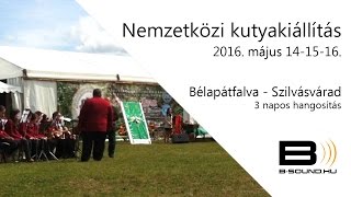 Nemzetközi kutyakiállítás, Bélapátfalva - Szilvásvárad, 2016. május 14-15-16.