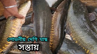 দেশীয় মাছের পাইকারি মূল্য দেখুন | Desi fish | DN Eyes | natural village fish | popular fish market