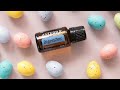 doterra l 2022년 5월 보고박스 ㅣ 도테라보고박스 ㅣ 반값이벤트 화이트닝 모이스처 미스트 무료증정