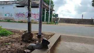 PART. 1. THIRUMAZHAPADI SIVA TEMPLE. AKA VAITHTHIYA NATHA SWAMI. AMBAAL. SUNTHARA AMBIGAI.