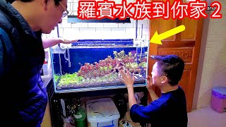 [羅賓水族到你家 2]  三重小許3尺水草缸改造計畫