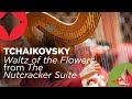 Orchestra Performs Nutcracker | Tchaikovsky | Waltz of the Flowers