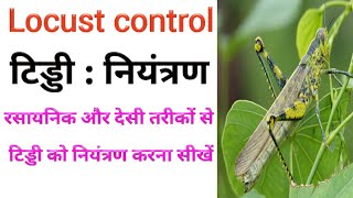 टिड्डी नियंत्रण | टिड्डी नियंत्रण के उपाय | tiddi control |  locust control in India | टिड्डी