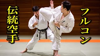 Verify! Traditional Karate vs Full contact Karate, how to fight?