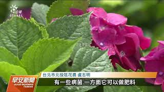 竹子湖農業區 陽管處推「環境友善產業計畫」｜20220607 公視早安新聞