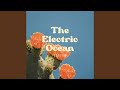 No Need (The Electric Ocean)