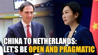 Beijing to promote open and practical ties with the Netherlands, opposes economic and trade bullying